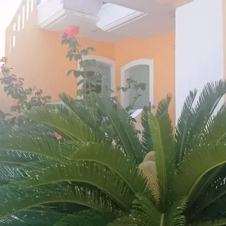 Amazones Sun Hotel Hersonissos (Crete)